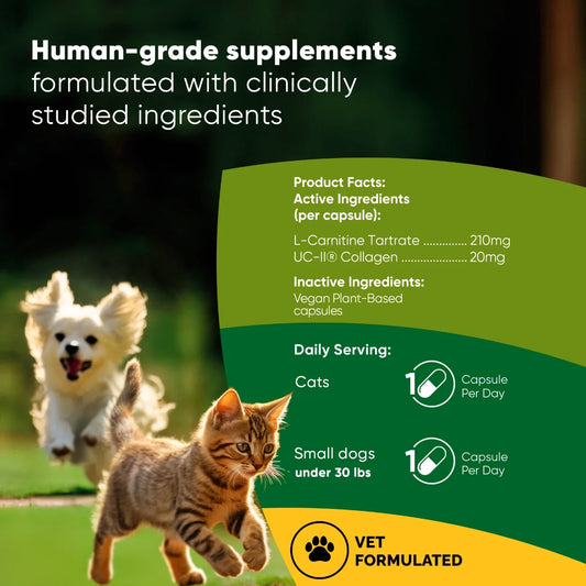 Joint & Muscle Health for Cats & Small Dogs – UC-II® Collagen + L-Carnitine
