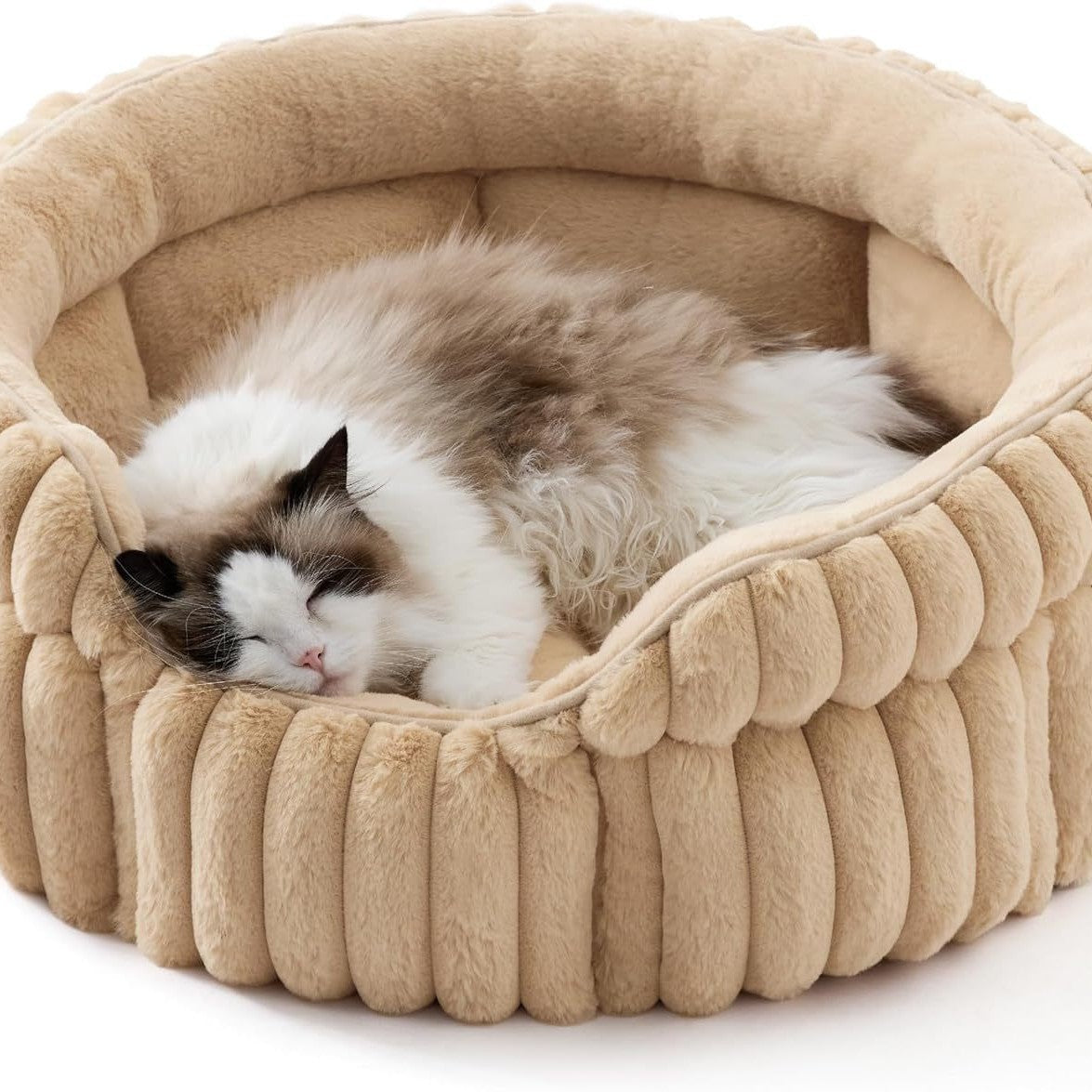 Beds and toys