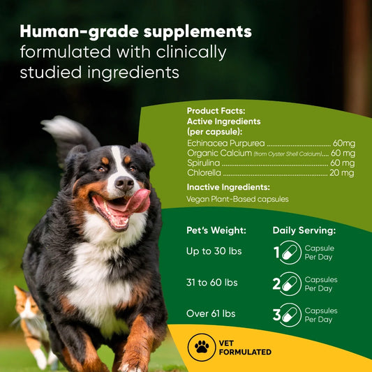 Spirulina & Chlorella for Dogs & Cats – Blood Health & Recovery Support