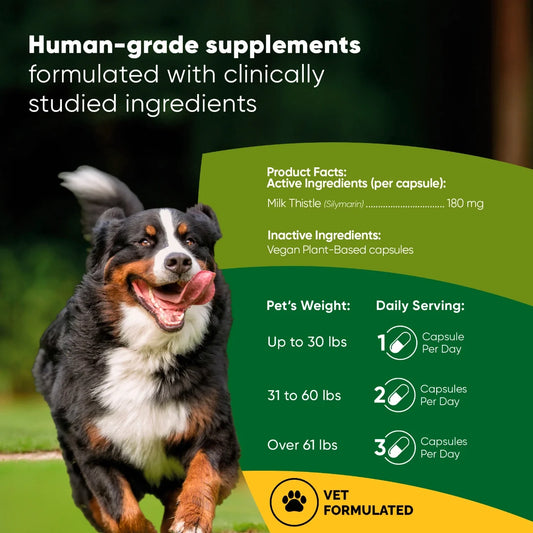 Liver Support for Dogs – Milk Thistle Supplement