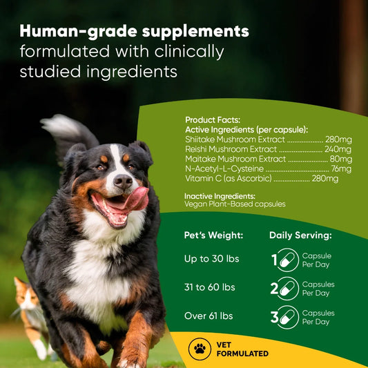 Immune Support