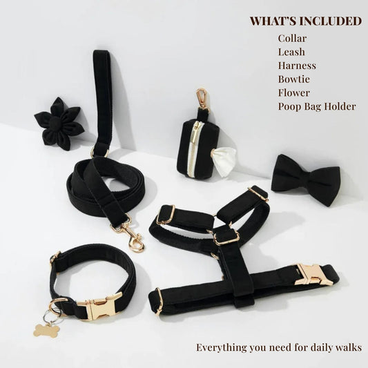 Black Velvet Set