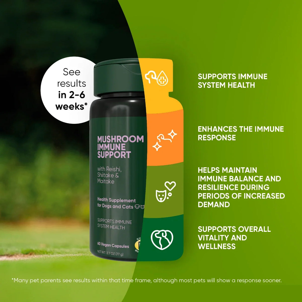Immune Support
