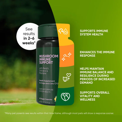 Immune Support