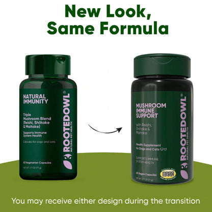 Immune Support