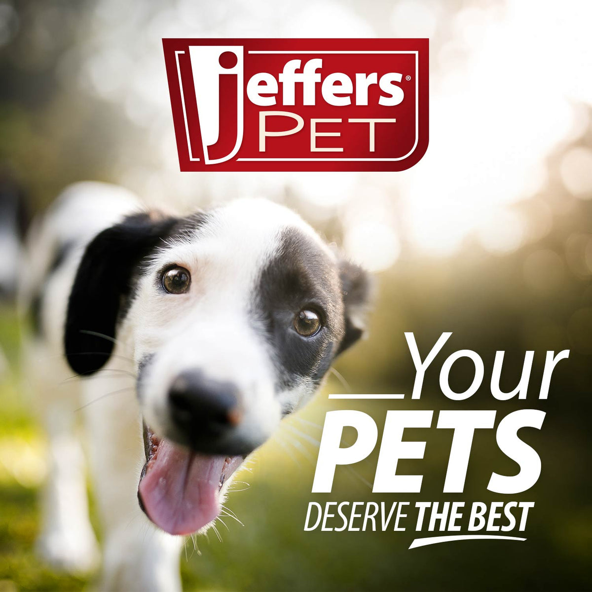 Jeffers Pet Nature's Best Cedar All-Natural Flea Bite Relief Shampoo for Dogs and Cats