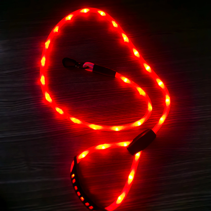 ✨ LIGHT UP RAVE LEASH ✨